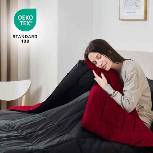 Quilted Down Alternative Comforter, Ultra Soft all season Comforter Duvet Insert - Image 20