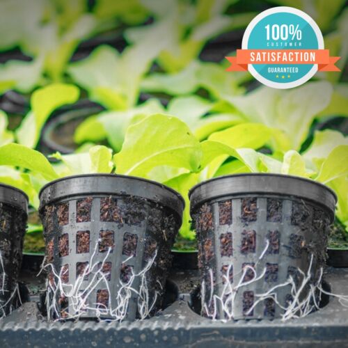 Hydro-Aero Net Pots Set - 100 Pieces of 2 inch Pots for Vertical Gardening - Image 2