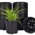 100 Pack Nursery Pots, 4 Inch Nursery Pot for Plants, Plastic Plant Pots 100 Pack Nursery Pots, 4 Inch Nursery Pot for Plants, Plastic Plant Pots
