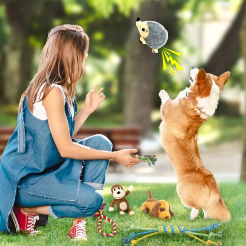 LEGEND SANDY Dog Squeaky Chew Toys for Small Dogs & Puppy Teething, 12 pack - Image 5