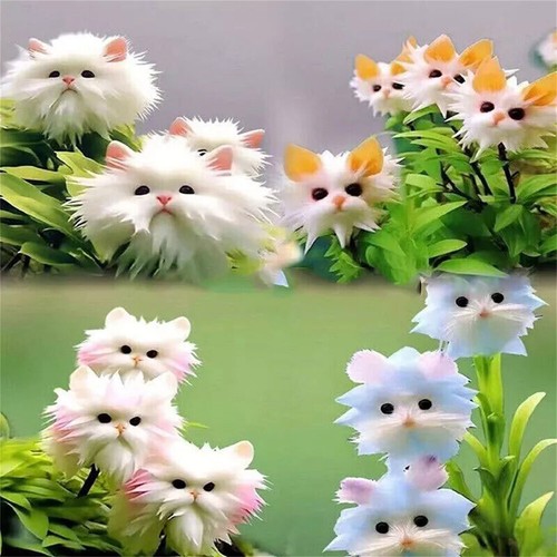50pc Big Flower Faced Cat Orchid Seeds Are Full Of Fragrant Potted Garden Plants - Image 7