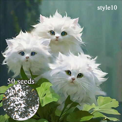 50pc Big Flower Faced Cat Orchid Seeds Are Full Of Fragrant Potted Garden Plants - Image 18