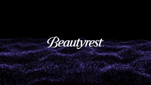 Beautyrest Plush Electric Heated Blanket 20 Heat Level Twin Full Queen King - Image 2