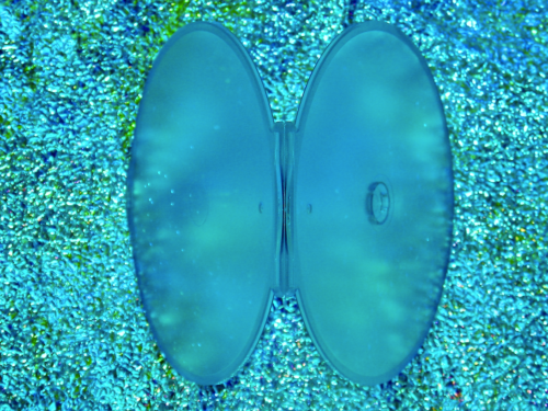 BECOMING LED ZEPPELIN DVD 2025 Documentary Jimmy Page Robert Plant Jones Bonham - Image 6