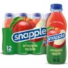 Snapple Apple Juice Drink, 16 fl oz recycled plastic bottle, Pack of 12 Snapple Apple Juice Drink, 16 fl oz recycled plastic bottle, Pack of 12