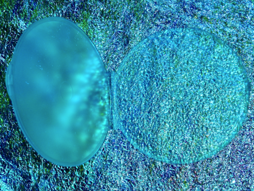 BECOMING LED ZEPPELIN BLU-RAY 2025 Documentary Page Robert Plant Jones Bonham - Image 6