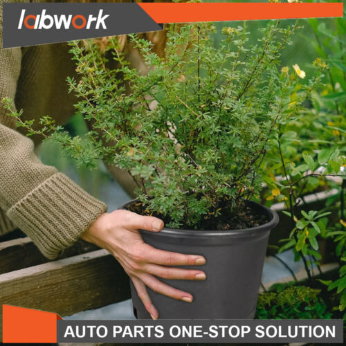 Labwork 1/2/3/5/7/10/15/20/25Gallon Plastic Nursery Pots Garden Plant Flower Pot - Image 3