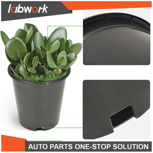 Labwork 1/2/3/5/7/10/15/20/25Gallon Plastic Nursery Pots Garden Plant Flower Pot - Image 10
