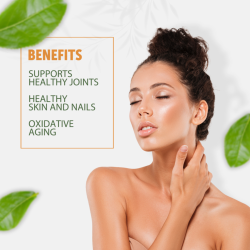 Hyaluronic Acid 250mg 210 Capsules 25mg of Vitamin C For Joint and Skin Health - Image 10