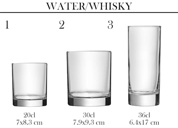 German Shorthaired Pointer Glass | Water | Wine | Whisky | Beer | Gift | Laser Engraved - Image 2