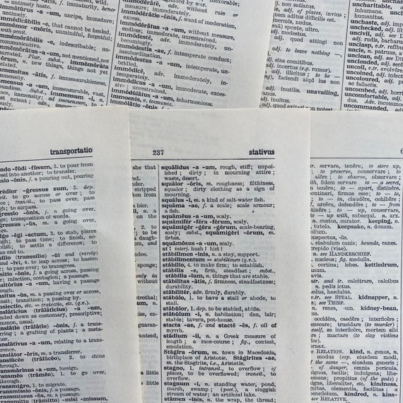 1958 Latin English dictionary pages, 20 antique Latin dictionary pages for paper crafting - Image 3