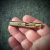 Brass retro mini bolt action pen – Personalised name laser engraving. Writing tool, Golf score card pen. EDC, pocket carry, camping kit. Brass retro mini bolt action pen – Personalised name laser engraving. Writing tool, Golf score card pen. EDC, pocket carry, camping kit.