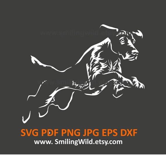 German Shorthaired Pointer SVG: Jumping Agility Dog Clipart (Digital Download)