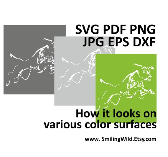 German Shorthaired Pointer SVG: Jumping Agility Dog Clipart (Digital Download) - Image 4