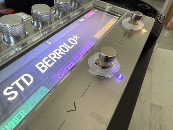 Acrylic protector - Darkglass Anagram - Image 4